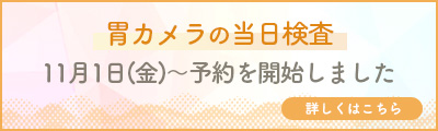 胃カメラの当日検査　11月1日(金)～予約を開始しました