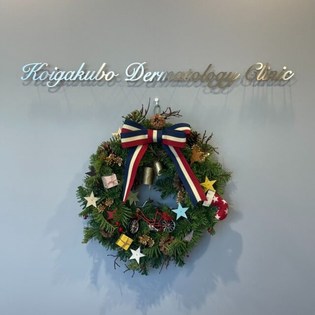 本年も当院をご利用いただき、誠にありがとうございました✨
本日の午前診療をもちまして、年内の診察を終了いたします。
2025年も大変お世話になりました🙇🏻‍♀️
来年も皆様の健やかな日常を支えていけますよう、一同努めてまいります🍀

2026年の診察は、1月6日(火)より開始いたします🏥
皆様どうぞお身体にお気をつけて、素敵なクリスマス・年末年始をお過ごしください⛄🌸